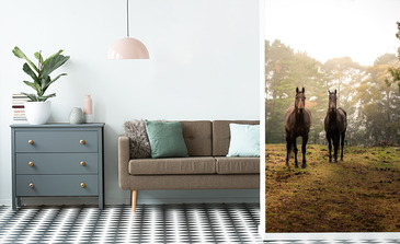 Visualisation du produit