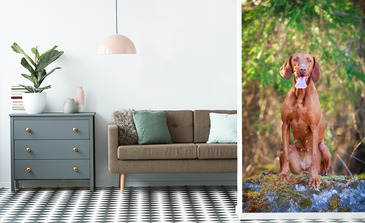 Visualisation du produit