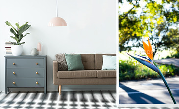 Visualisation du produit