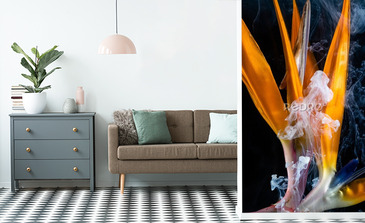 Visualisation du produit