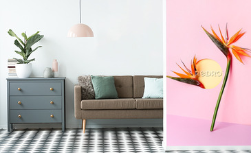 Visualisation du produit