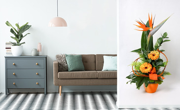 Visualisation du produit