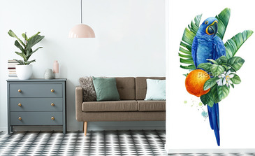 Visualisation du produit