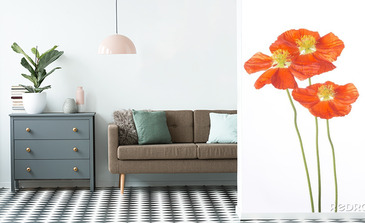 Visualisation du produit