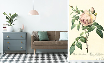 Visualisation du produit