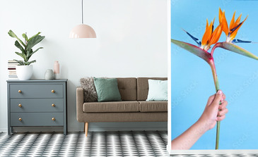 Visualisation du produit