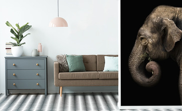 Visualisation du produit