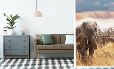 Visualisation du produit