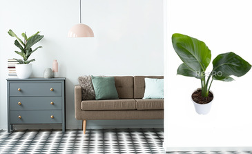 Visualisation du produit