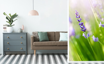 Visualisation du produit