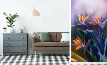 Visualisation du produit