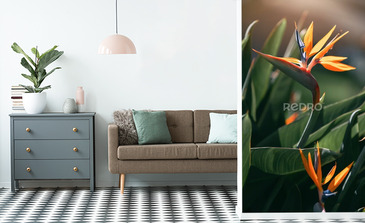 Visualisation du produit