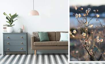 Visualisation du produit