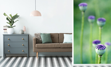 Visualisation du produit