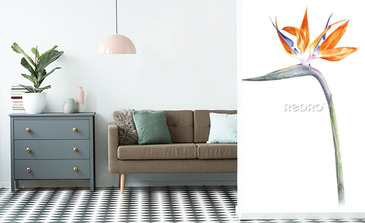 Visualisation du produit