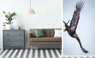 Visualisation du produit