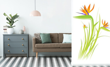 Visualisation du produit