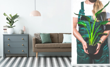 Visualisation du produit