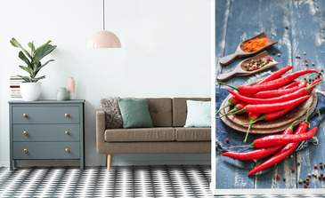 Visualisation du produit