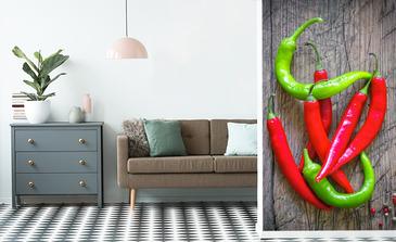 Visualisation du produit