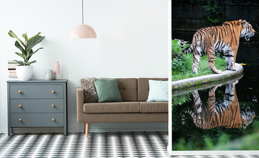 Visualisation du produit