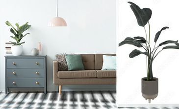 Visualisation du produit