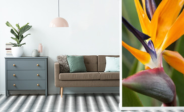 Visualisation du produit