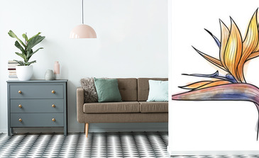 Visualisation du produit