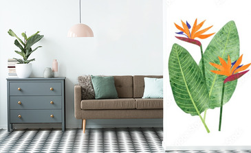 Visualisation du produit