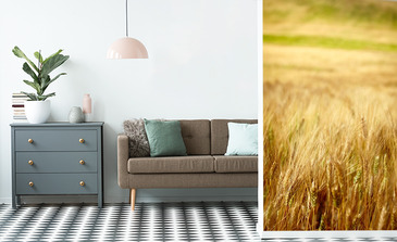 Visualisation du produit