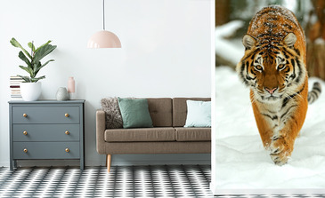 Visualisation du produit