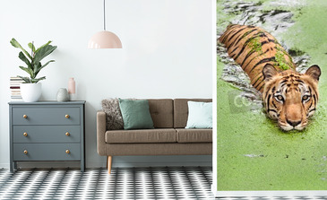 Visualisation du produit