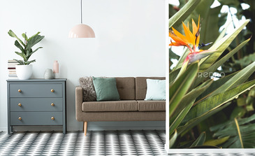 Visualisation du produit