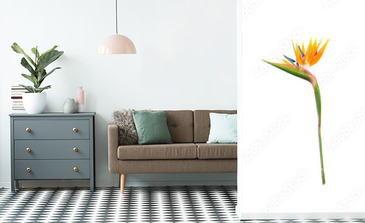 Visualisation du produit