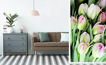 Visualisation du produit