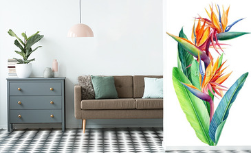 Visualisation du produit