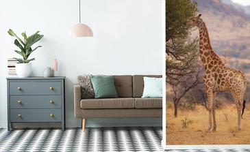 Visualisation du produit