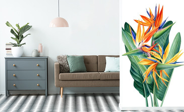 Visualisation du produit