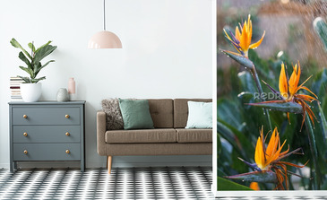 Visualisation du produit