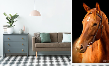 Visualisation du produit