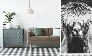 Visualisation du produit