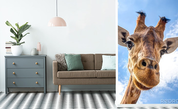 Visualisation du produit