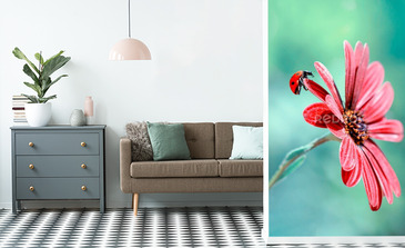 Visualisation du produit