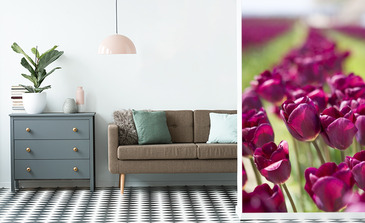 Visualisation du produit