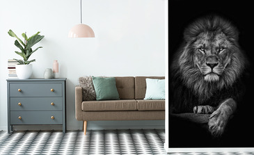 Visualisation du produit