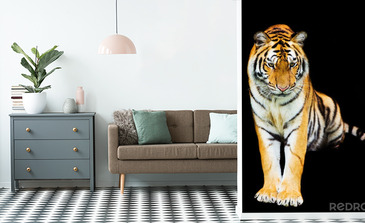 Visualisation du produit