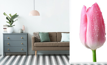 Visualisation du produit