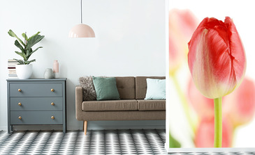 Visualisation du produit