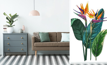 Visualisation du produit