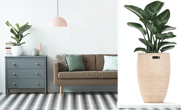 Visualisation du produit